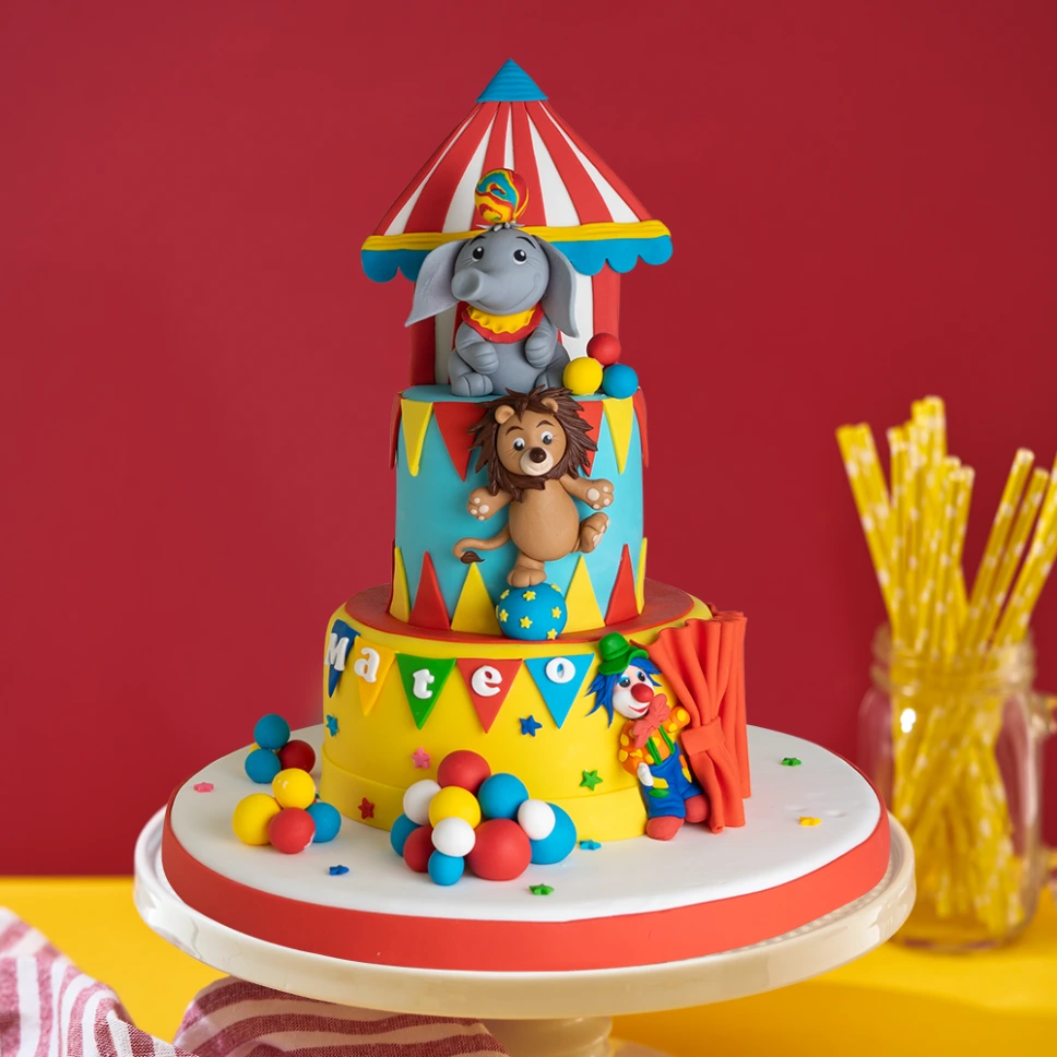 [020020020010376] TORTA CIRCO