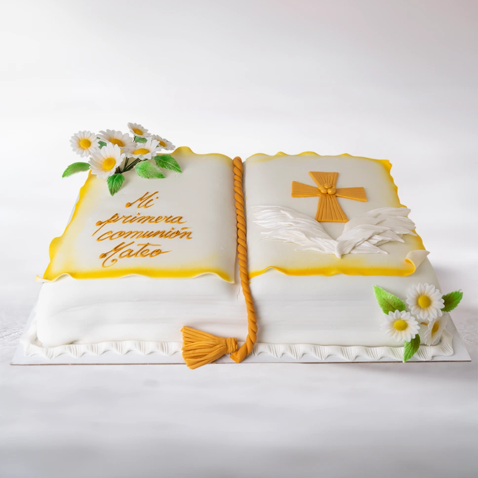 TORTA BIBLIA DE LUZ